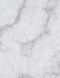 Шпалери Слов'янські LeGrand Platinum В118 8777-03 1,06x10,05 м