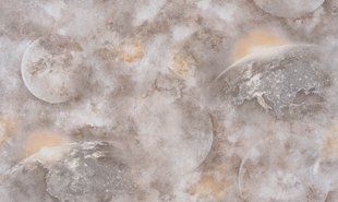 Шпалери Слов'янські Elegance В121 2384-01 1,06x10,05 м